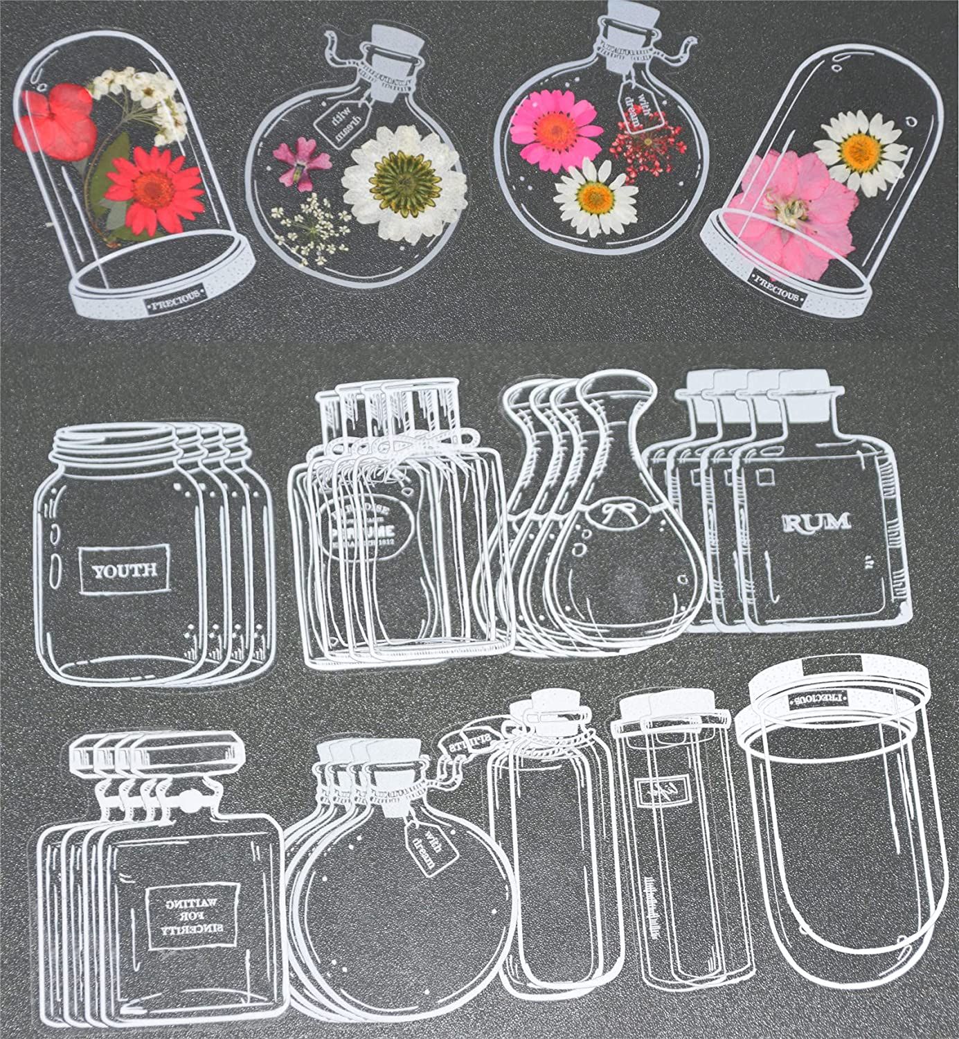 30Pcs DIY Transparent Dried Fl - مراجعة Dried Flower Bookmark وسعره