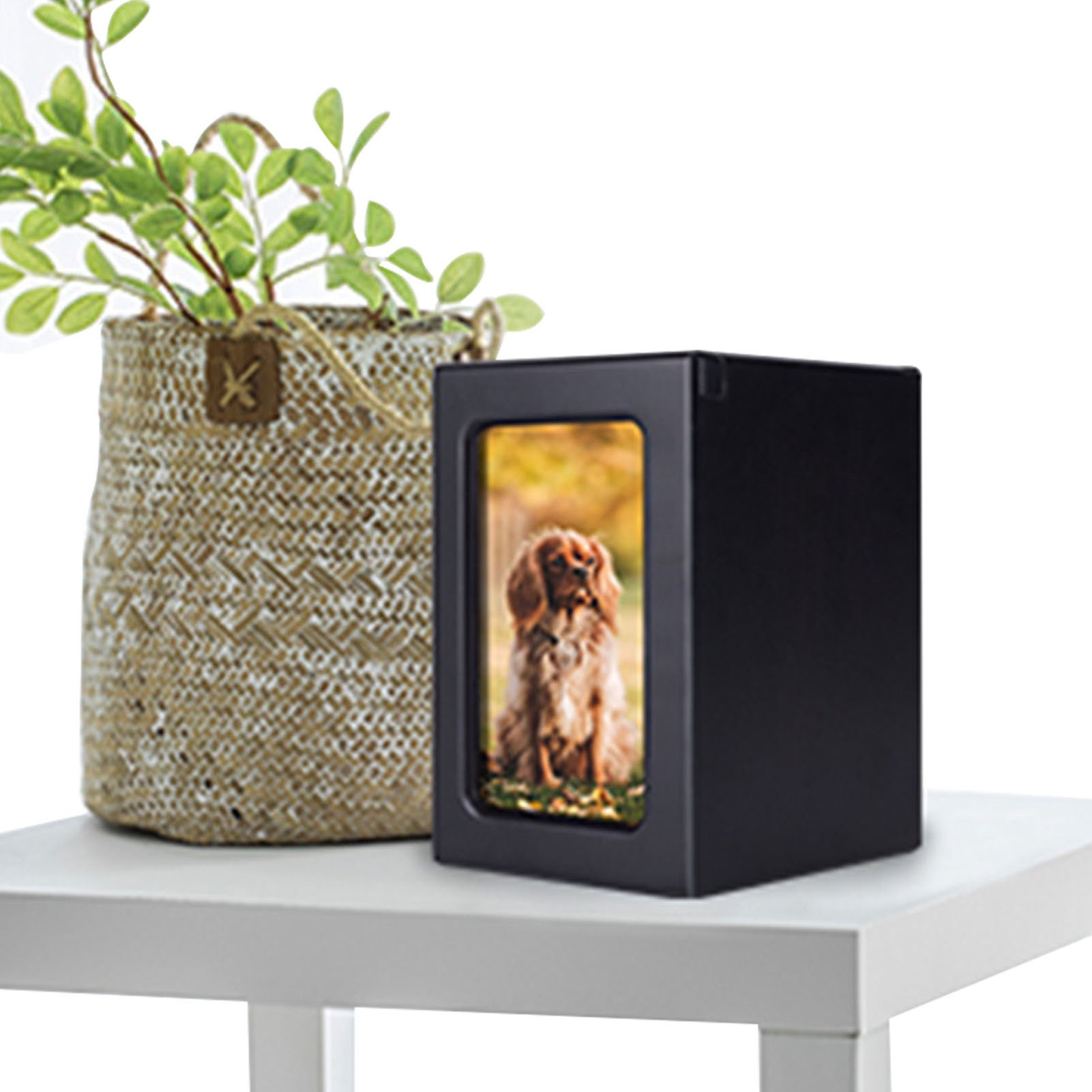 Wooden Pet Urns Wooden Cremati - مراجعة Engraved Wood Frame وسعره