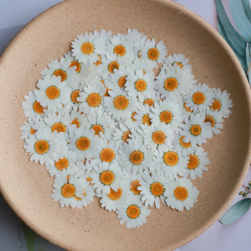 60X Pressed Dried Natural Whit - مراجعة Dried Flower Bookmark وسعره
