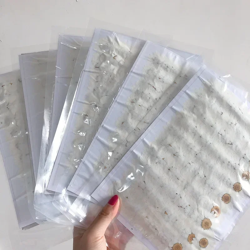 60X Pressed Dried Natural Whit - مراجعة Dried Flower Bookmark وسعره