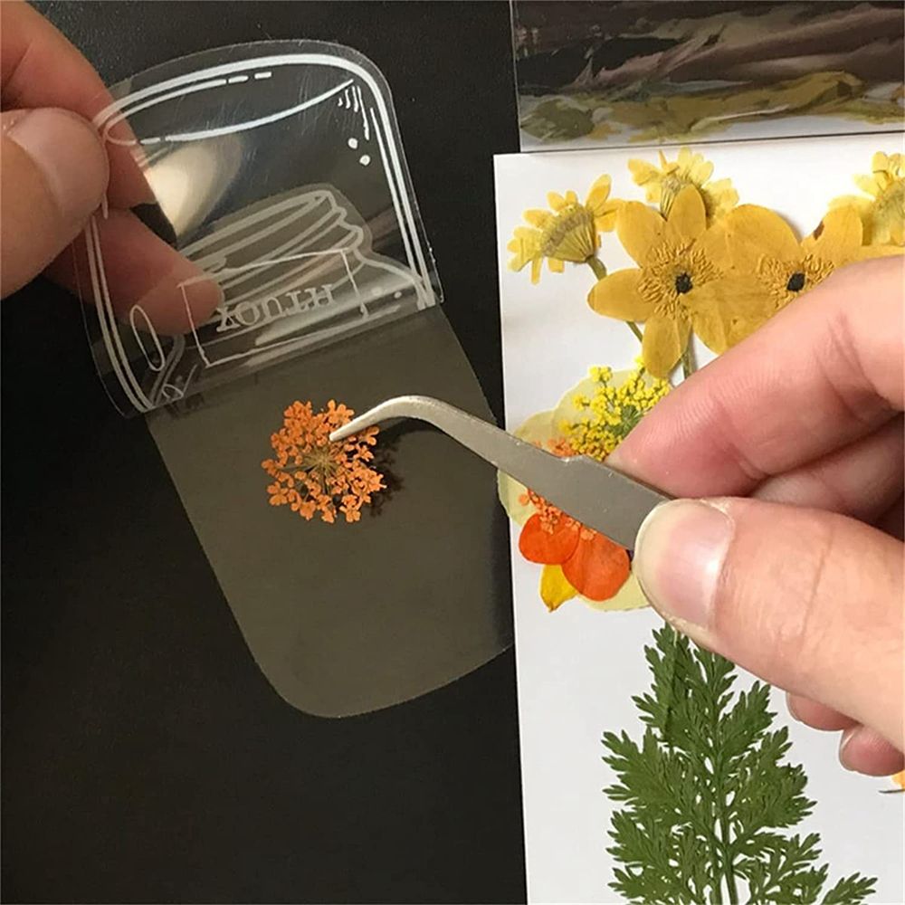 30Pcs Handmade DIY Transparent - مراجعة Dried Flower Bookmark وسعره