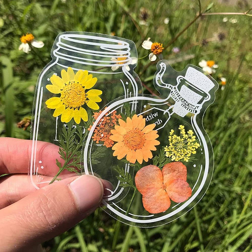 30Pcs Handmade DIY Transparent - مراجعة Dried Flower Bookmark وسعره