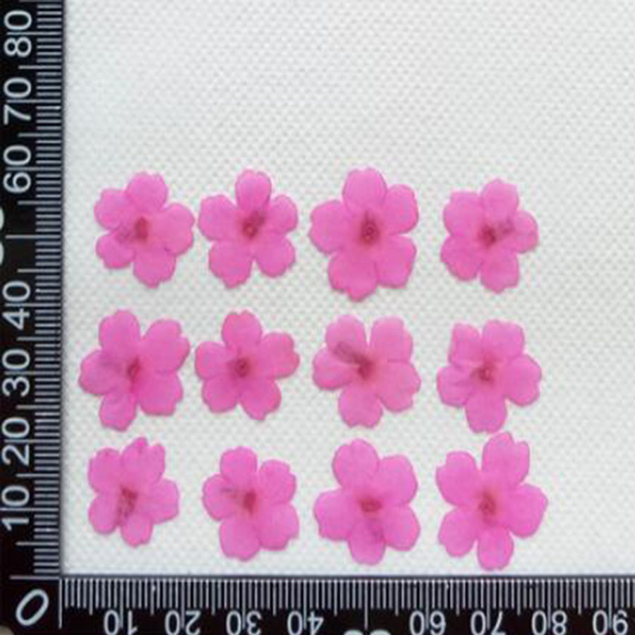 60pcs 1-2cm Pressed Dried Dyed - مراجعة Dried Flower Bookmark وسعره