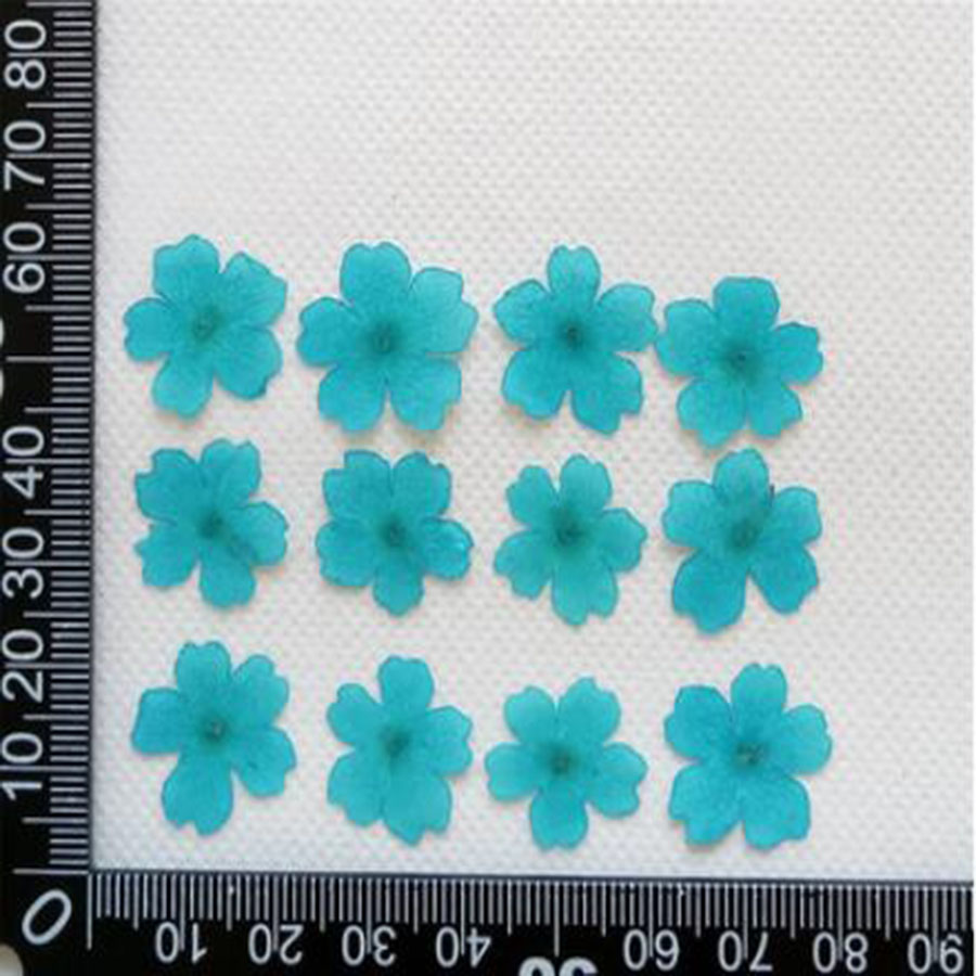 60pcs 1-2cm Pressed Dried Dyed - مراجعة Dried Flower Bookmark وسعره