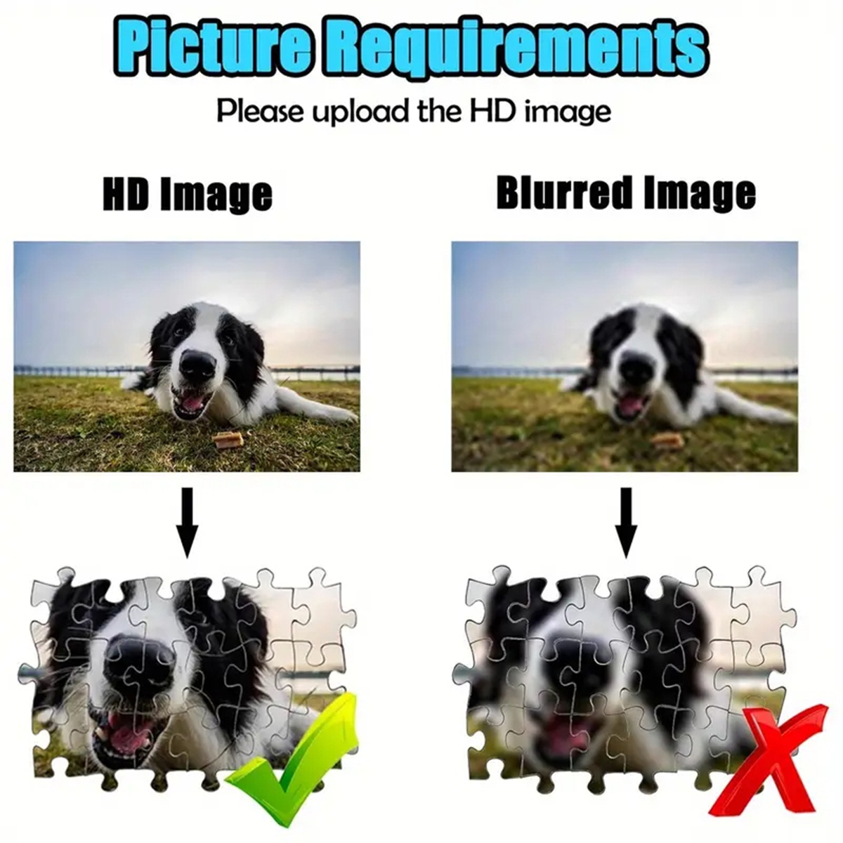35/300/500/1000pcs Personalize - مراجعة Pet Portrait Custom وسعره