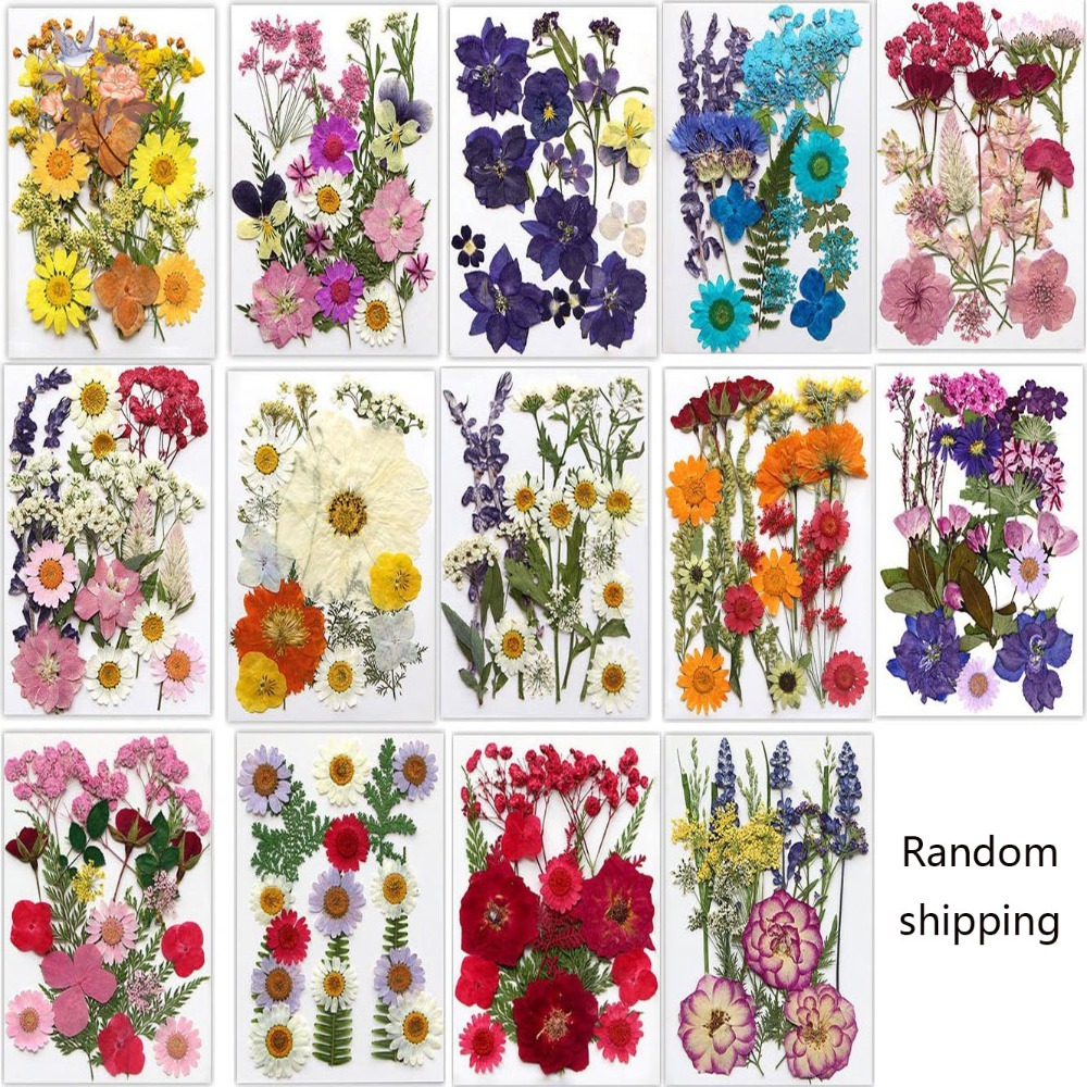 Handmade Pressed Dried Flowers - مراجعة Dried Flower Bookmark وسعره