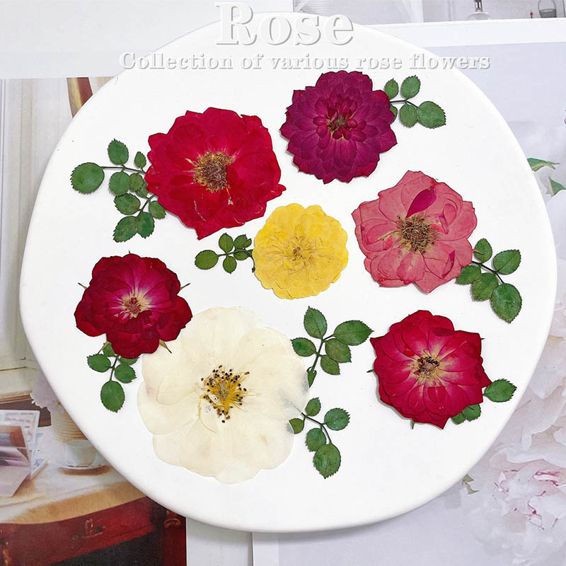 60pcs Pressed Dried Red Yellow - مراجعة Dried Flower Bookmark وسعره