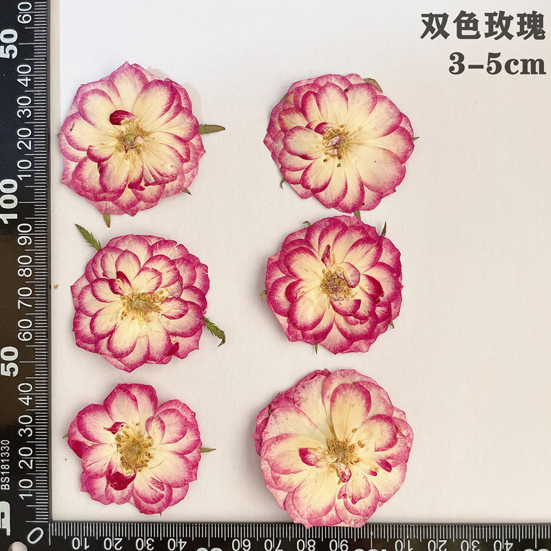 60pcs Pressed Dried Red Yellow - مراجعة Dried Flower Bookmark وسعره