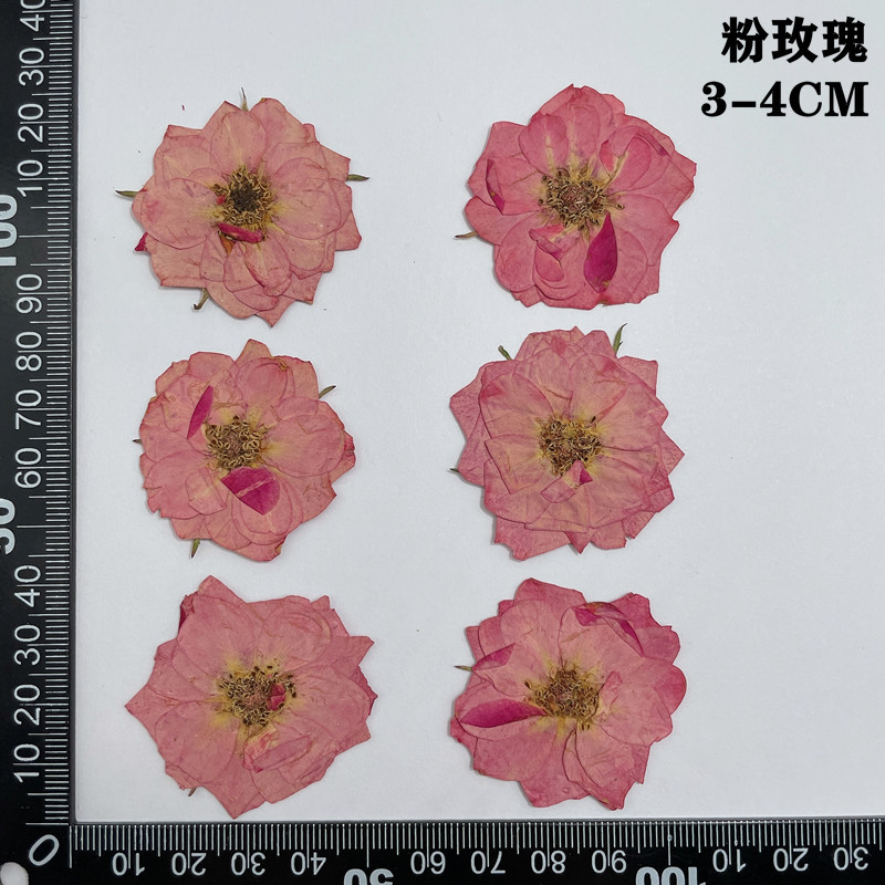 60pcs Pressed Dried Red Yellow - مراجعة Dried Flower Bookmark وسعره