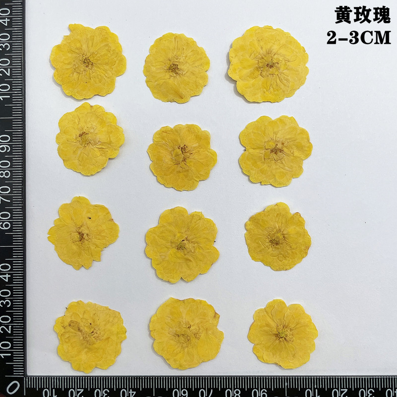 60pcs Pressed Dried Red Yellow - مراجعة Dried Flower Bookmark وسعره