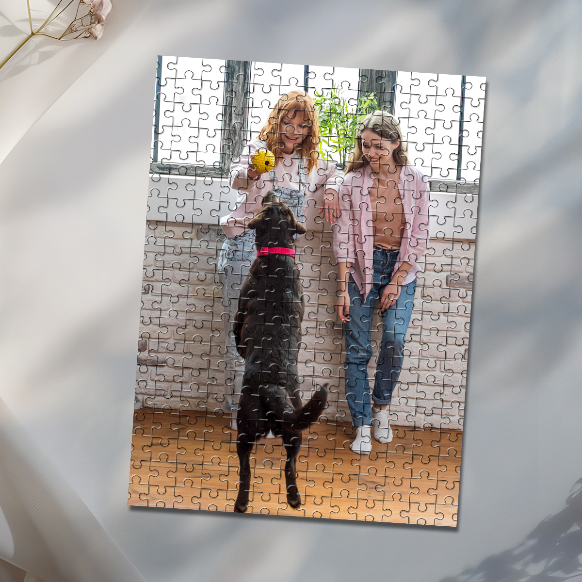 35/150/300/500/1000pcs Persona - مراجعة Pet Portrait Custom وسعره