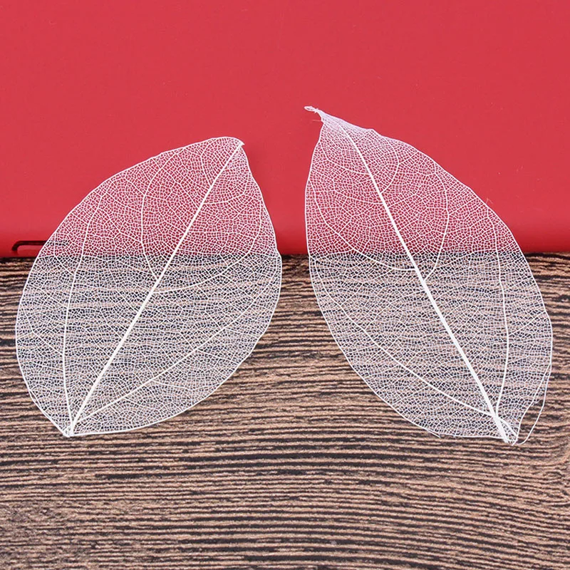 5-6cm/24pcs,Nature Real Touch  - مراجعة Dried Flower Bookmark وسعره