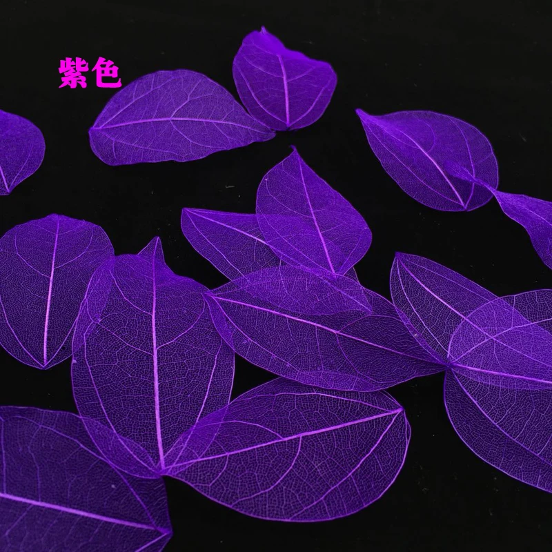 5-6cm/24pcs,Nature Real Touch  - مراجعة Dried Flower Bookmark وسعره