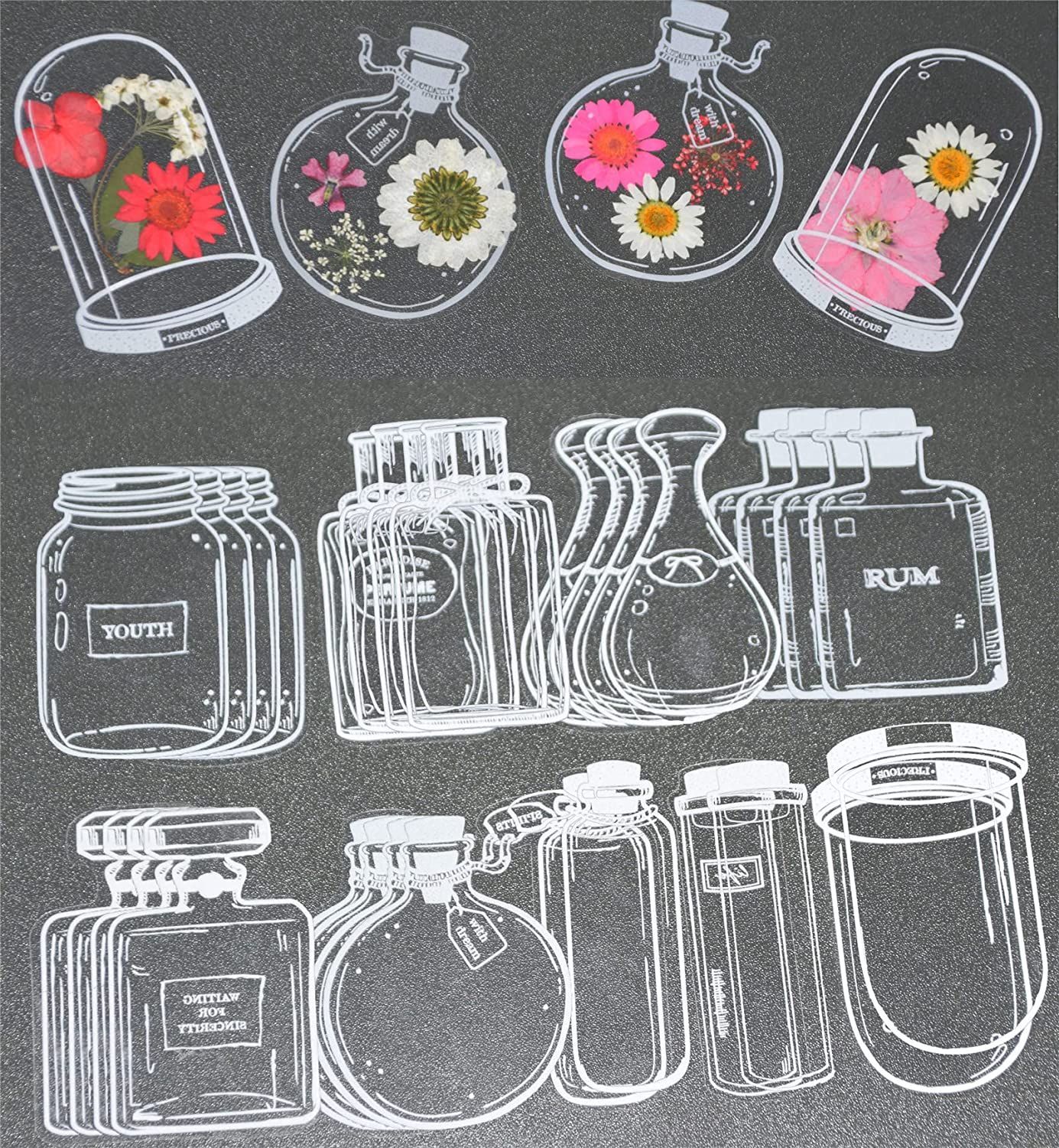 30Pcs Transparent Dried Flower - مراجعة Dried Flower Bookmark وسعره